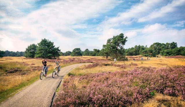 Sfeervol Chalet Op De Veluwe Putten Exteriér fotografie