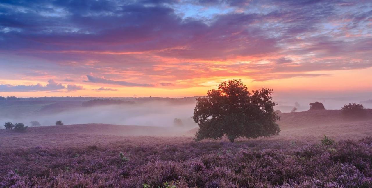 Sfeervol Chalet Op De Veluwe Putten Exteriér fotografie